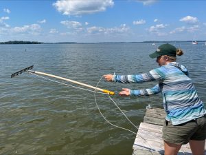 A woman tosses a rake into a lake. 