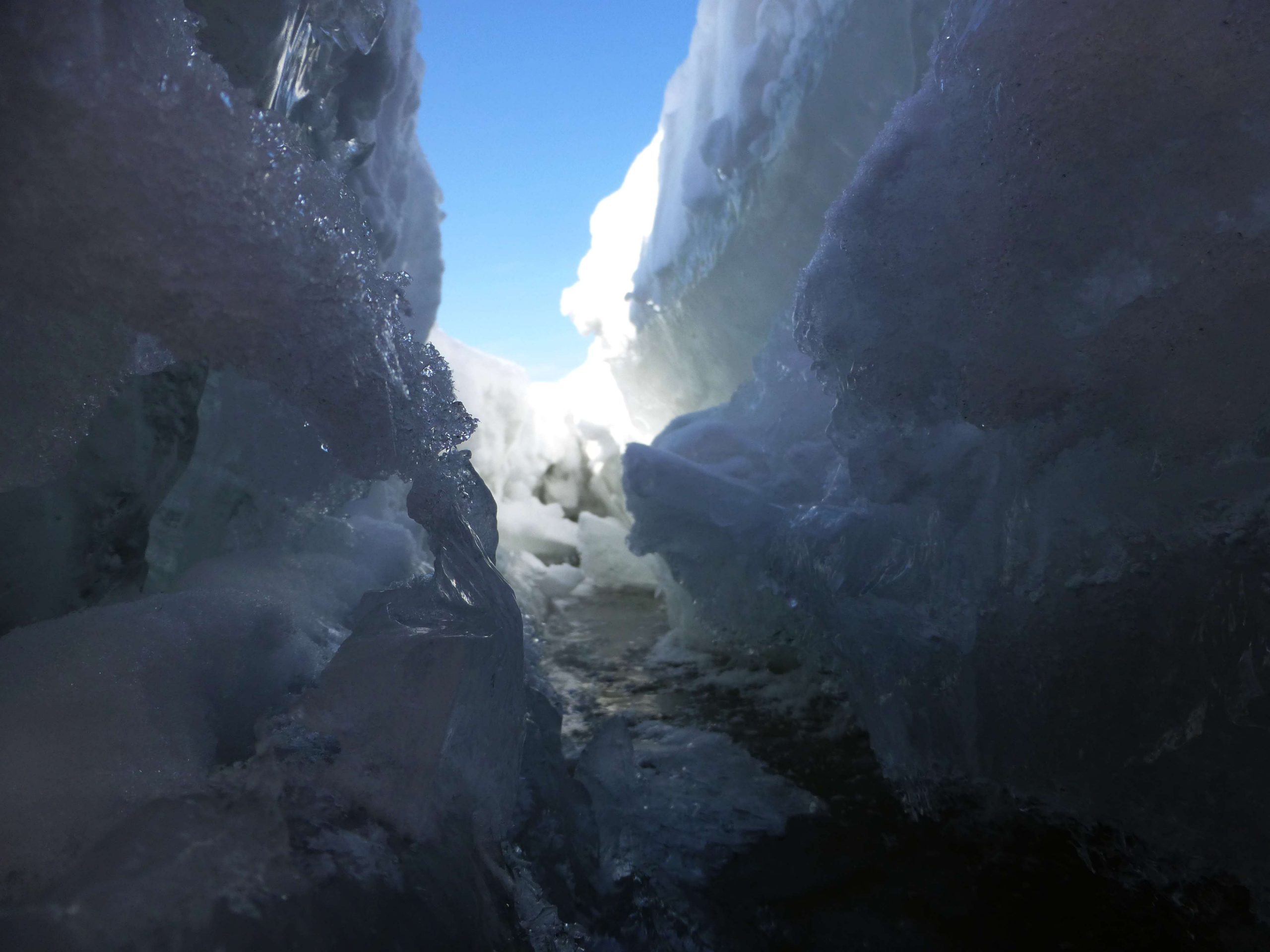 https://blog.limnology.wisc.edu/wp-content/uploads/sites/250/2014/02/P1000124-scaled-1.jpg