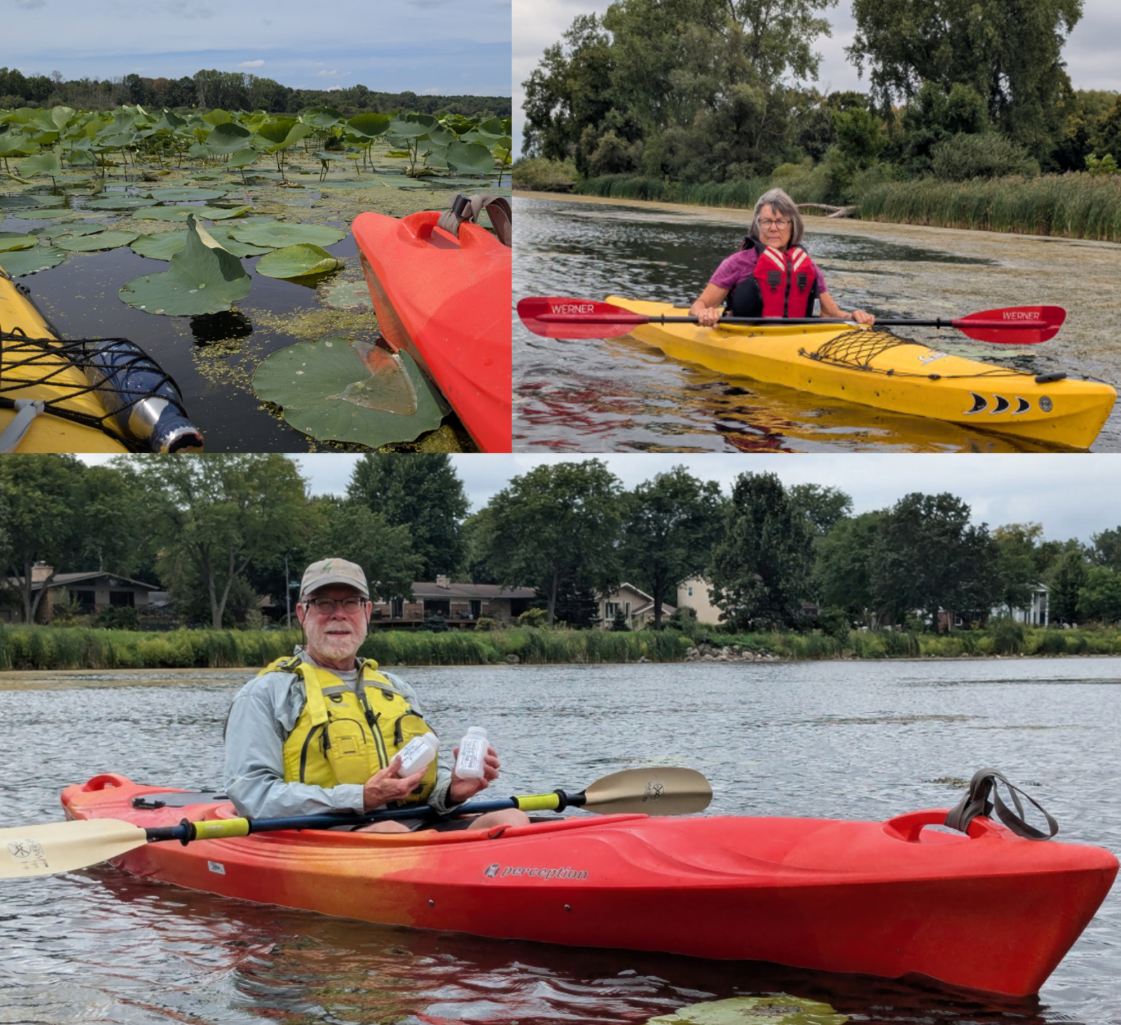 A collage of three photos. Top left is a view of lotus plants floating on a river with kayaks in the foreground. Top right is person in a kayak on a river. Bottom is a person holding water sample bottles in a kayak on a river.